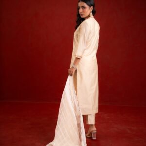 SHAHI BEJ WITH EMBRIODERY KURTA SET - Image 5
