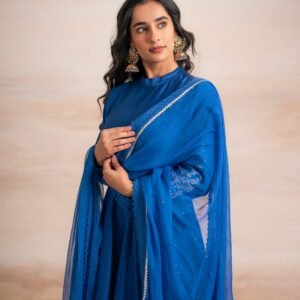 Alternative view of BLUE ANARKALI WITH PANTS